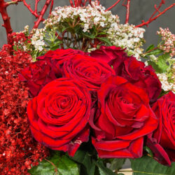 Σύνθεση Βαλεντίνο Κόκκινα Τριαντάφυλλα Γυψοφύλλη Κλαδια