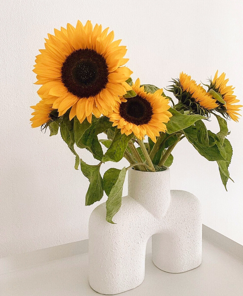 Home Decoration White Vase with Sun Flowers