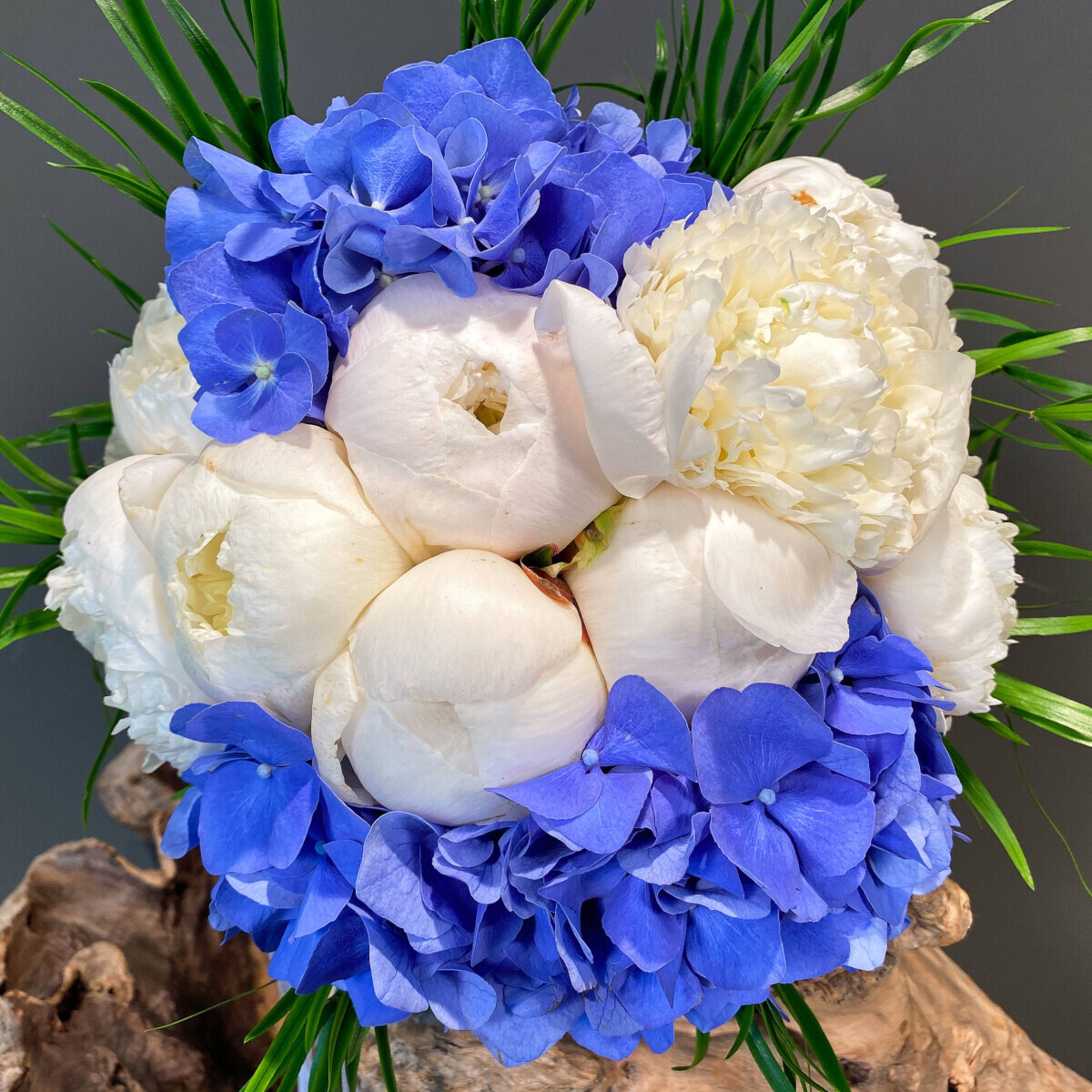 Bridal Bouquet Blue Hydrangeas & White Peonies