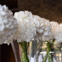 Στολισμός Γάμου Άγιος Διονύσιος Κολωνάκι