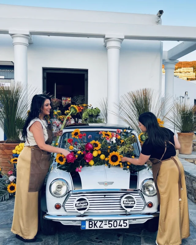 Neda Decorations has officially landed in Mykonos — ready to make the mood bloom and spread good vibes & one-of-a-kind inspiration all over the island 🌵🪻🌼🍋
#NedaDecorationa #NedaInMykonos #floraldesigns #aesthetic #mykonos #eliabeach #myconianimperial