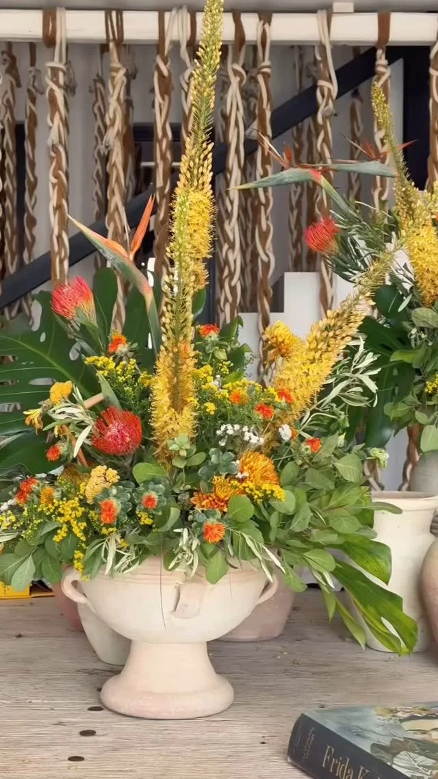 🌺🌸🌼Flowers make the world go round…
✨ Colors, fragrances, beauty, freshness.
Nothing is ever the same once flowers bloom into the room. 💐
📹 @billpatrick1964 
#NedaDecorations #Aesthetic #Mykonos
#FlowerMagic #BloomVibes #FreshAndBeautiful